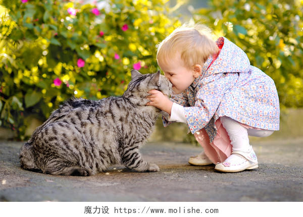 花园里小女孩在与小猫玩耍幸福童年孩子幸福的人美好童年